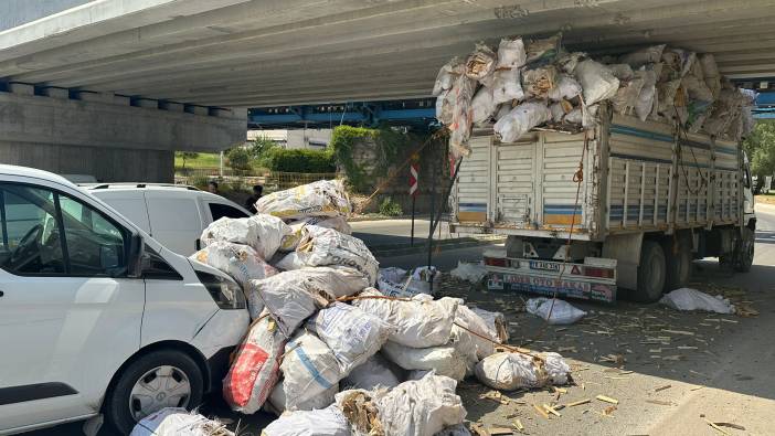 Adana'da kampyon köprü altına sıkıştı