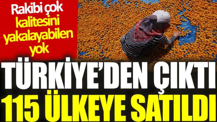 Türkiye’den çıktı, 115 ülkeye satıldı: Rakibi çok, kalitesini yakalayabilen yok