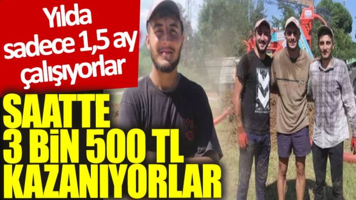 Yılda sadece 1,5 ay çalışıyorlar, saatte 3 bin 500 TL kazanıyorlar