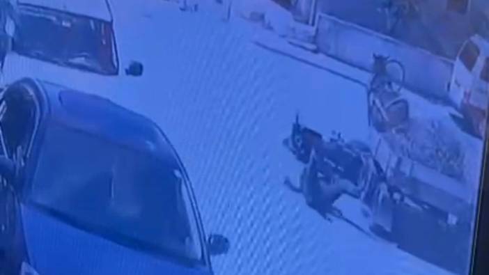 Böyle kaza görülmedi: Kaçan at, motosikletliyi altına aldı