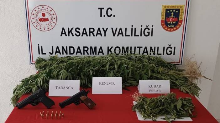Aksaray'da yasa dışı kenevir üretimine operasyon