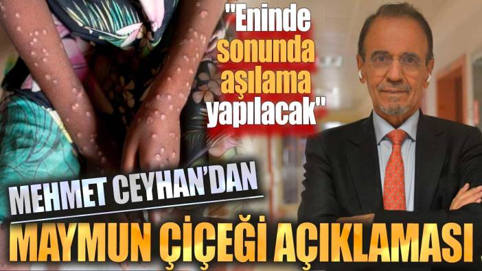 Mehmet Ceyhan'dan Maymun Çiçeği açıklaması: "Eninde sonunda aşılama yapılacak"