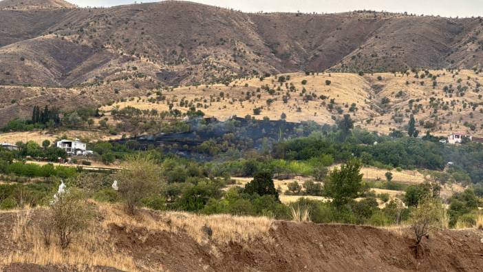 Elazığ’da  150 dönüm arazi küle döndü