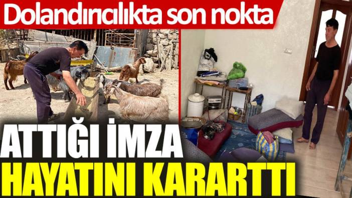 Dolandırıcılıkta son nokta: Attığı imza hayatını kararttı
