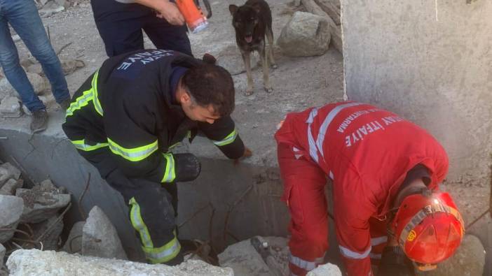 Hatay'da hasarlı evin yıkıntısında mahsur kalan yavru köpekler kurtarıldı