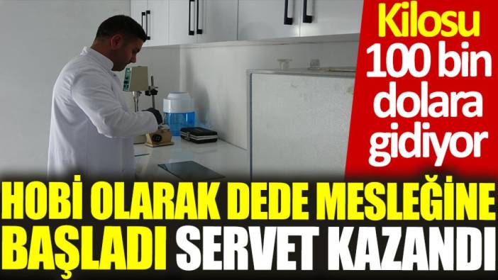 Hobi olarak dede mesleğine başladı, servet kazandı: Kilosu 100 bin dolara gidiyor