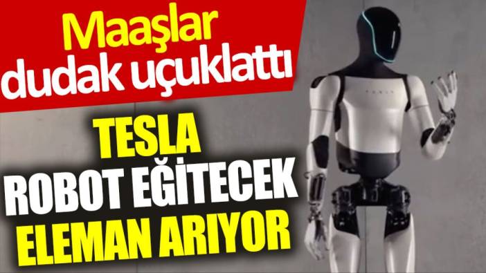 Tesla robot eğitecek eleman arıyor: Maaşlar dudak uçuklattı