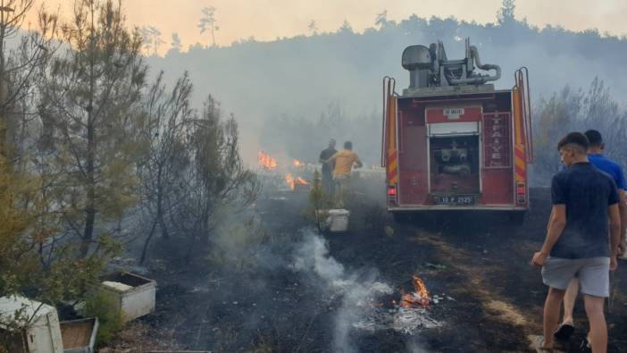 Orman yangınına giden ekiplere arılar saldırdı