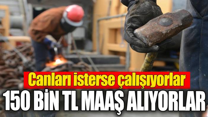 150 bin TL maaş alıyorlar. Canları isterse çalışıyorlar