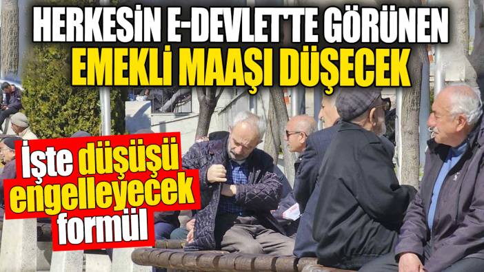 Herkesin e-devlet'te görünen emekli maaşı düşecek. İşte aylıkların düşüşünü engelleyecek formül