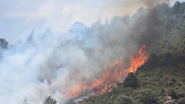 Afyonkarahisar'da orman yangını!