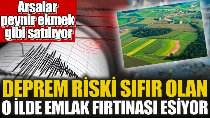 Deprem riski sıfır olan o ilde emlak fırtınası esiyor! Arsalar peynir ekmek gibi satılıyor