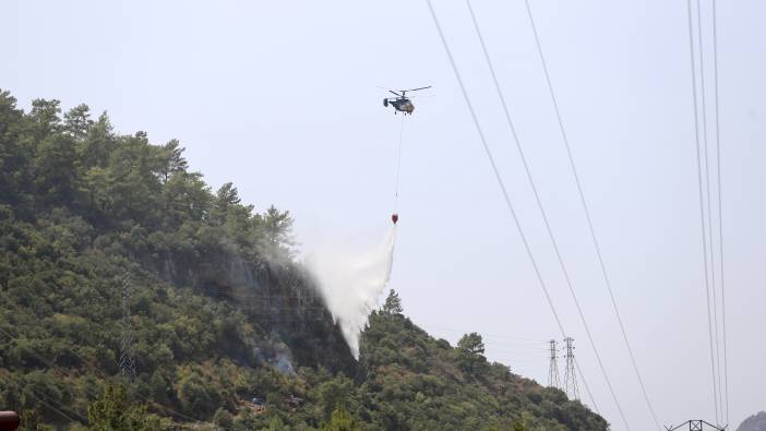 Muğla'da orman yangını