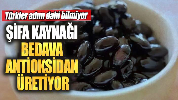 Türkler adını dahi bilmiyor! Şifa kaynağı bedava antioksidan üretiyor