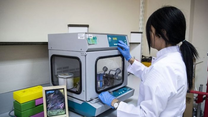 Kırtasiye ürünleri TSE merceğinde