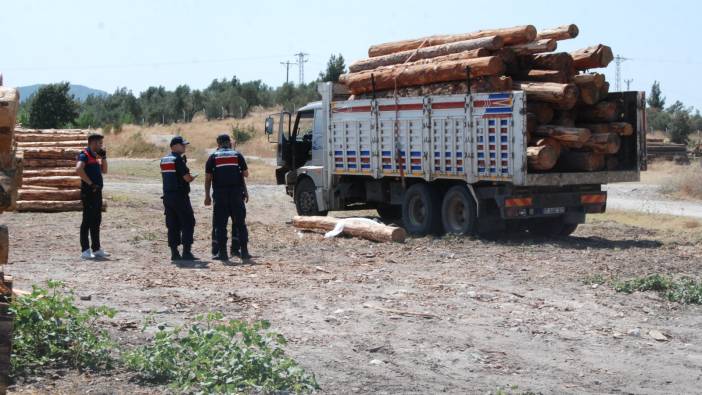 Çanakkale'de üzerine tomruk düşen sürücü can verdi