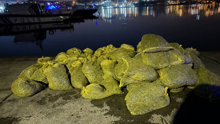 İstanbul'da tonlarca kaçak midye ele geçirildi