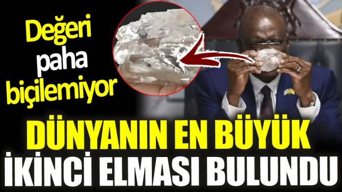 Dünyanın en büyük ikinci elması bulundu ‘Değeri paha biçilemiyor'