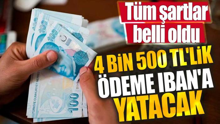 4 bin 500 TL'lik ödeme IBAN'a yatacak. Tüm şartlar belli oldu