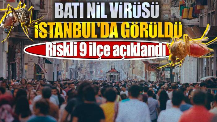 Batı Nil Virüsü İstanbul'da görüldü. Riskli 9 ilçe açıklandı