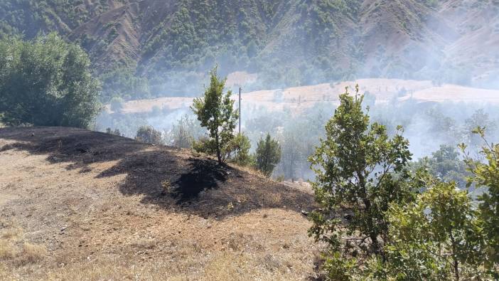 Tunceli'de ormanlık alan yangını