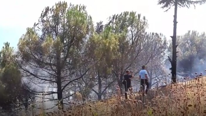 Tekirdağ'da yangın!