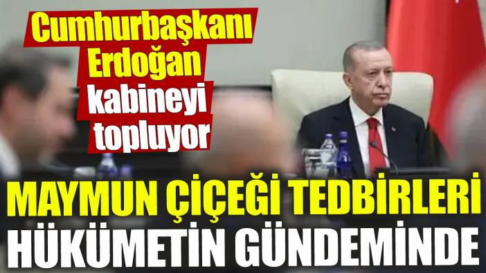 Maymun Çiçeği tedbirleri hükümetin gündeminde! Cumhurbaşkanı Erdoğan kabineyi topluyor