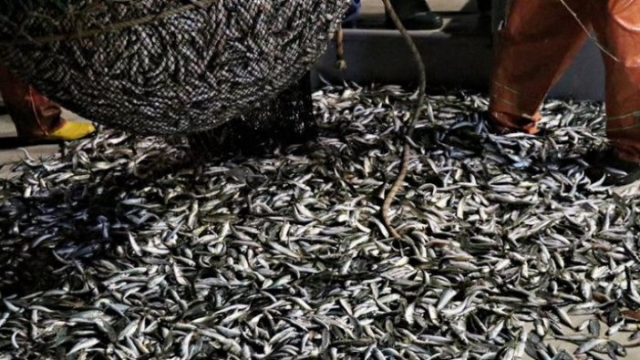 Denizlerde yasa dışı avlananlara 14 milyon lira ceza