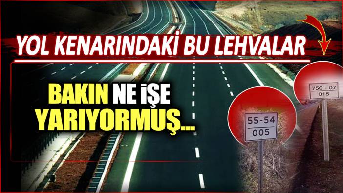 Yol kenarındaki beyaz levhalar bakın ne işe yarıyormuş