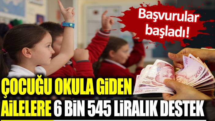 Çocuğu okula giden ailelere 6 bin 545 TL'lik destek verilecek