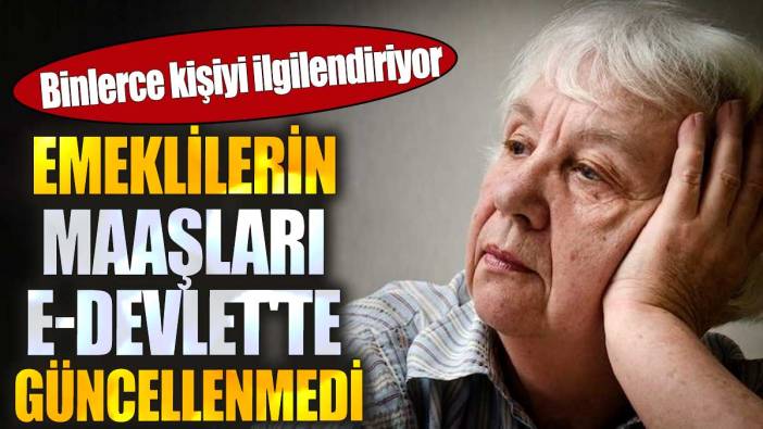 Emeklilerin maaşları e-Devlet'te güncellenmedi. Binlerce kişiyi ilgilendiriyor