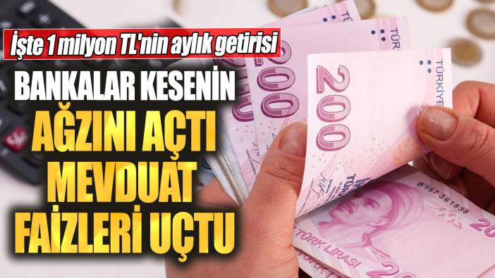 Bankalar kesenin ağzını açtı mevduat faizleri uçtu! İşte 1 milyon TL'nin aylık getirisi