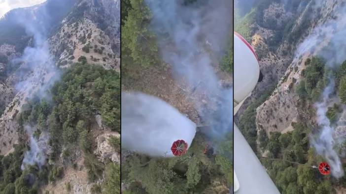 Denizli'de çıkan yangın hava müdahalesiyle söndürüldü