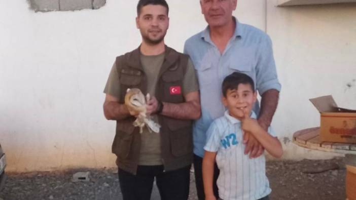 Şırnak'ta yaralı baykuş tedavi altına alındı