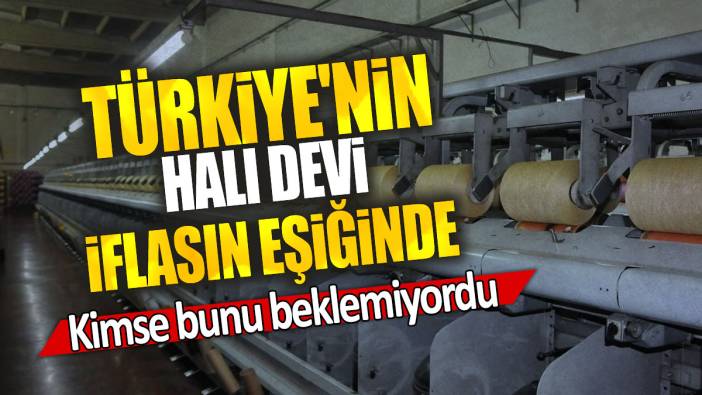 Türkiye'nin halı devi iflasın eşiğinde: Kimse bunu beklemiyordu