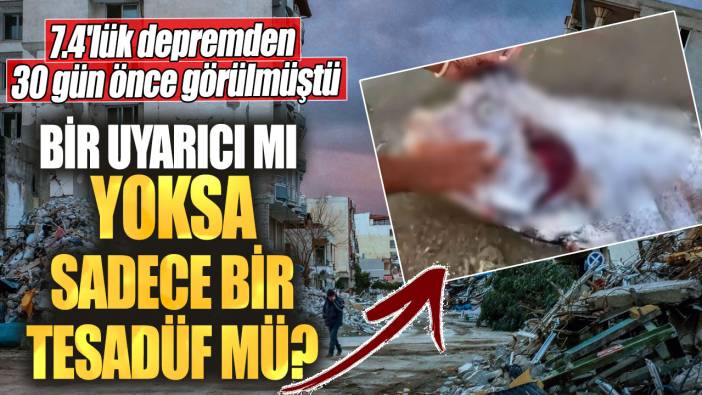 7.4'lük depremden 30 gün önce görülmüştü! Bir uyarıcı mı yoksa sadece bir tesadüf mü?