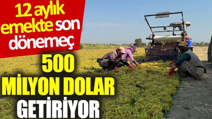 12 aylık emekte son dönemeç: 500 milyon dolar getiriyor