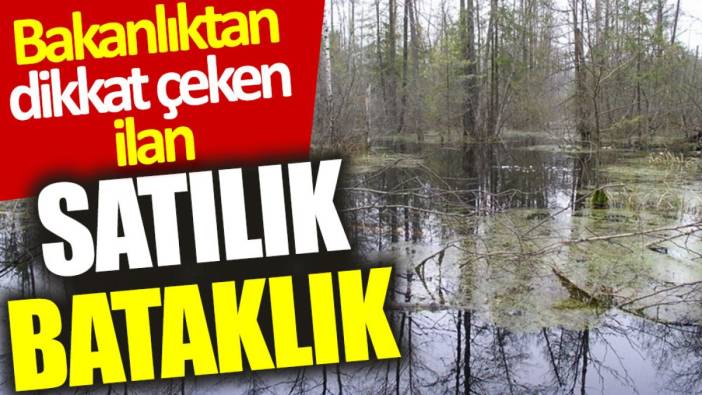 Bakanlıktan dikkat çeken ilan: Satılık bataklık