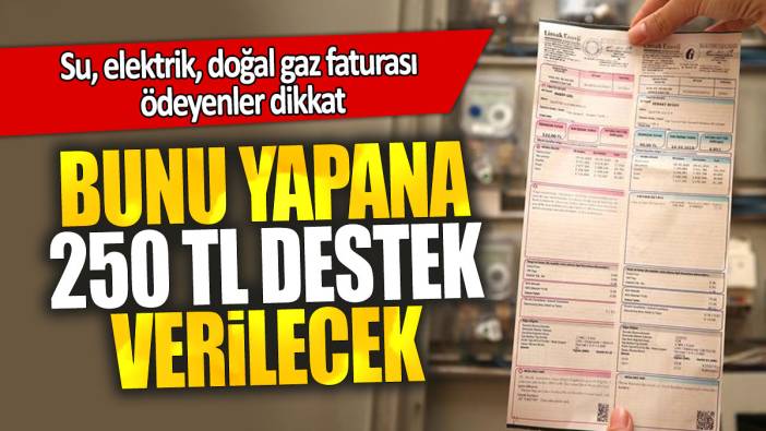 Su, elektrik, doğal gaz faturası ödeyenler dikkat: Bunu yapana 250 TL destek verilecek