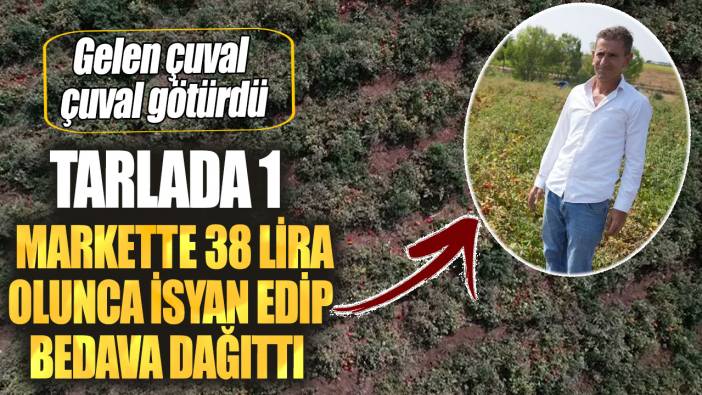 Tarlada 1 markette 38 lira olunca isyan edip bedava dağıttı! Gelen çuval çuval götürdü