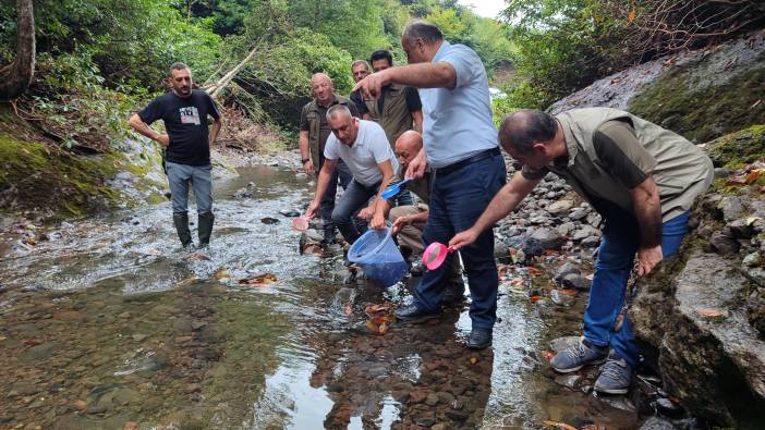 5 bin kırmızı alabalık yavrusu dereye bırakıldı