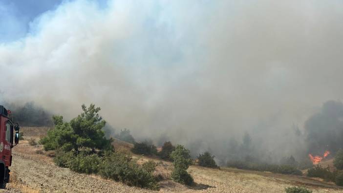Kahramanmaraş'ta orman yangını