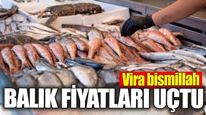 Balık fiyatları uçtu. Vira bismillah