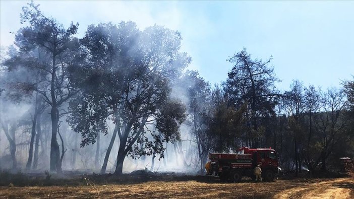 Muğla'da orman yangını