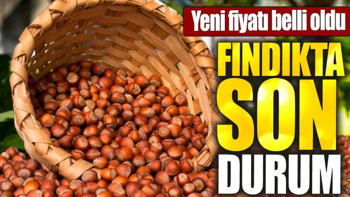 Fındığın fiyatı belli oldu