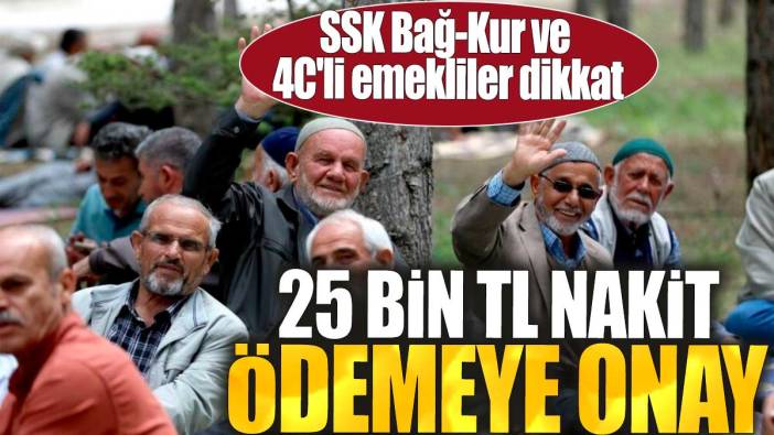 SSK, Bağ-Kur ve 4C'li emekliler dikkat. 25 bin TL nakit ödemeye onay