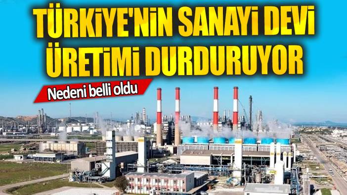 Türkiye'nin sanayi devi üretimi durduruyor: Nedeni belli oldu