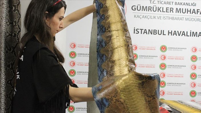 İstanbul Havalimanı'nda 320 bin liralık yılan derisi ele geçirildi