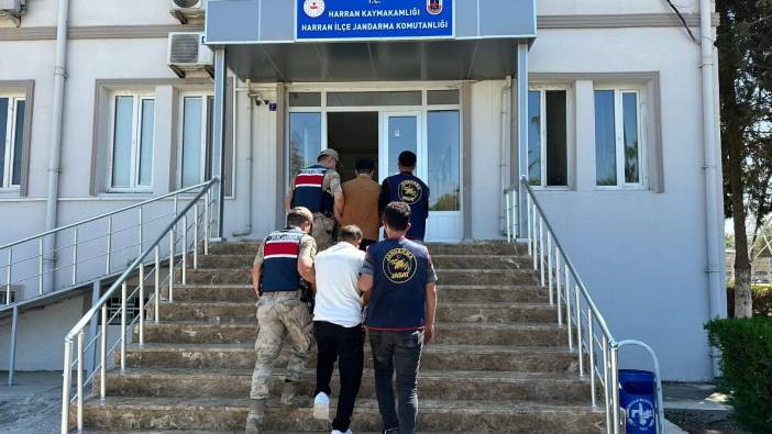 Şanlıurfa'da dolandırıcılık operasyonu