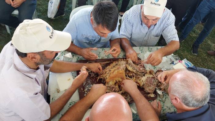 Oğlak yeme yarışmasında 10 kilo oğlağı adeta yuttular